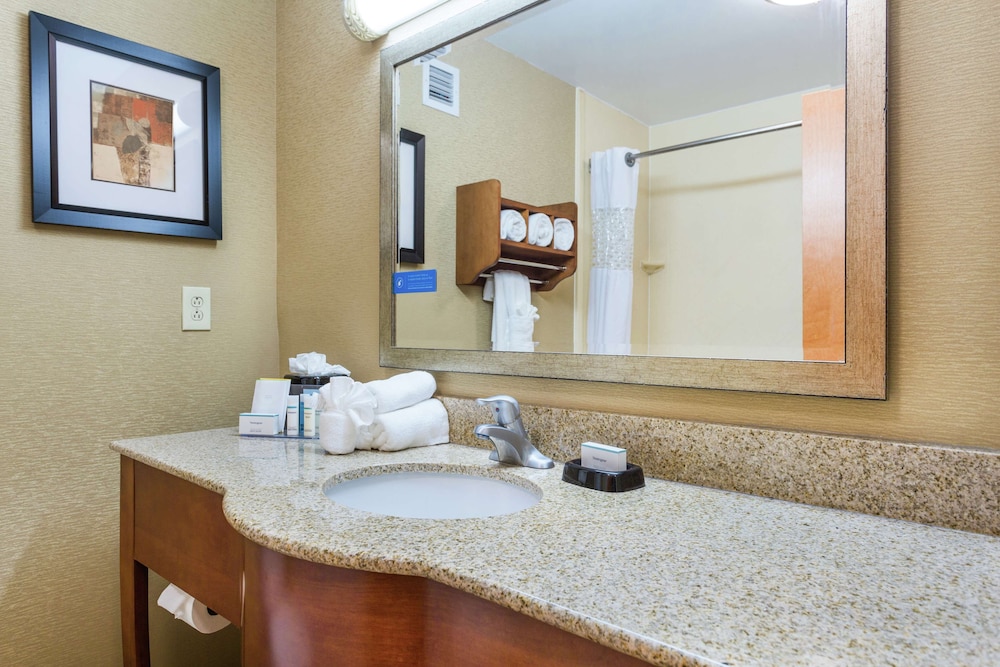 Hampton Inn Petersburg Southpark Mall - photo 14