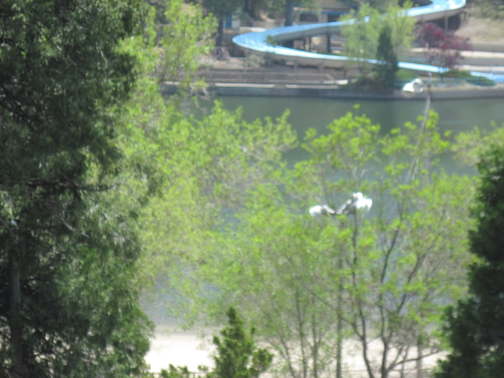The North Shore Inn - photo 115