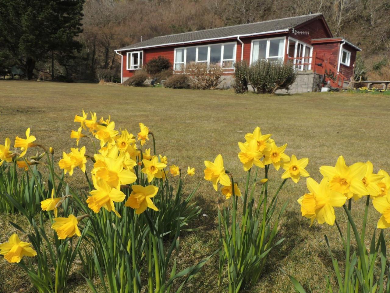 Atlantic Bay Cottage — Oban — photo 2