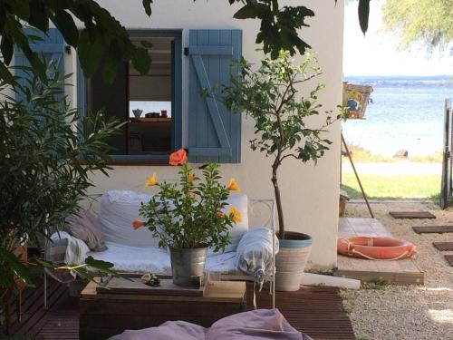 Cabanon de pêcheur en bord de lagune in Sete, France