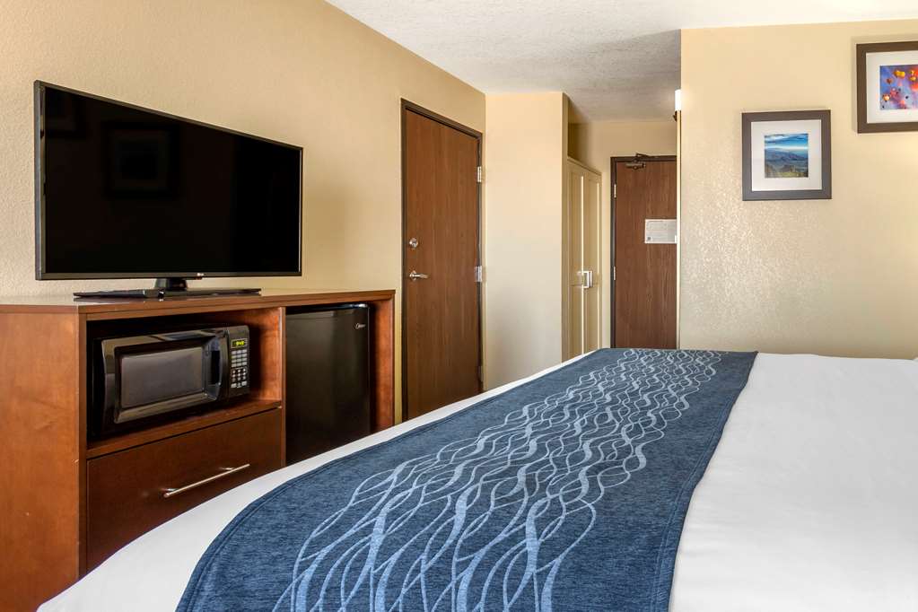 Comfort Inn & Suites Alameda at Albuquerque Balloon Fiesta Park - photo 7
