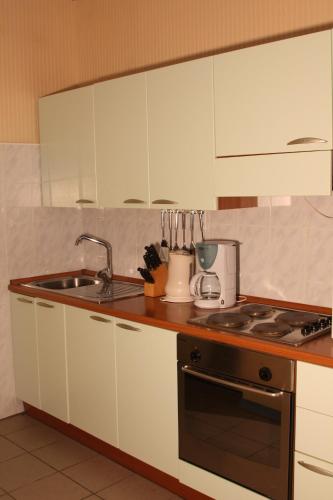 Smart Hotel Samara Hotel pet-friendly hotel Samara