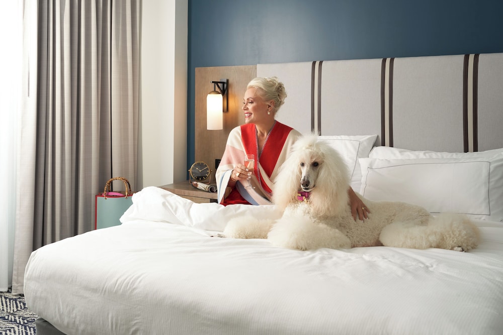 The Chifley Houston Tapestry Collection by Hilton - photo 34