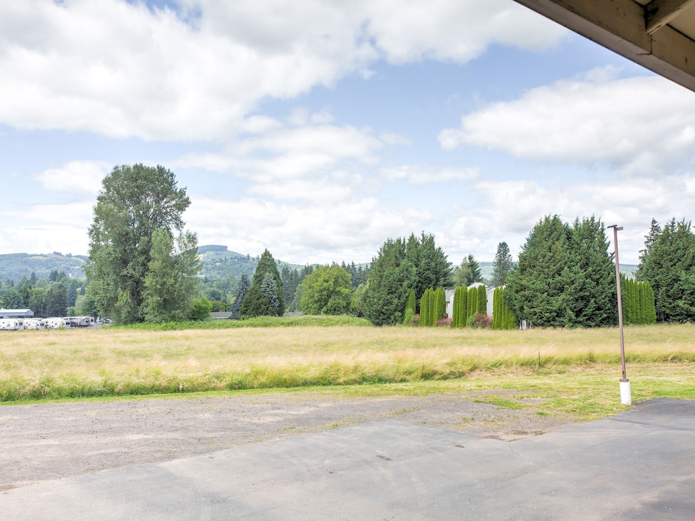 OYO Woodland Hotel and Suites - photo 38