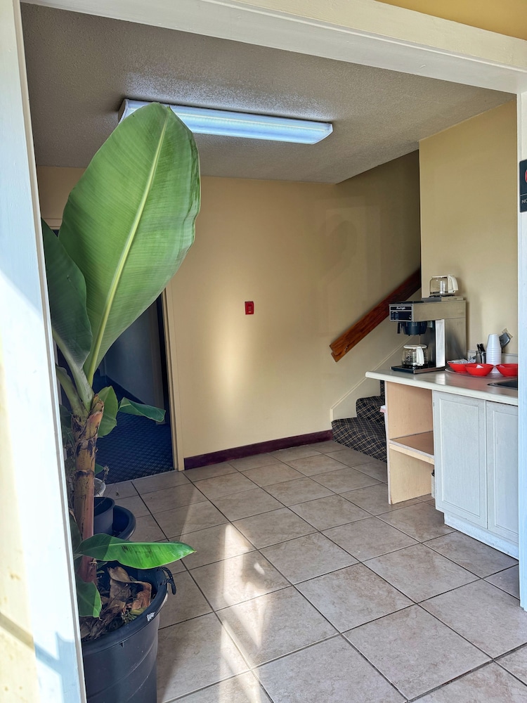 Laketree Inn And Suites Marion in Marion, United States