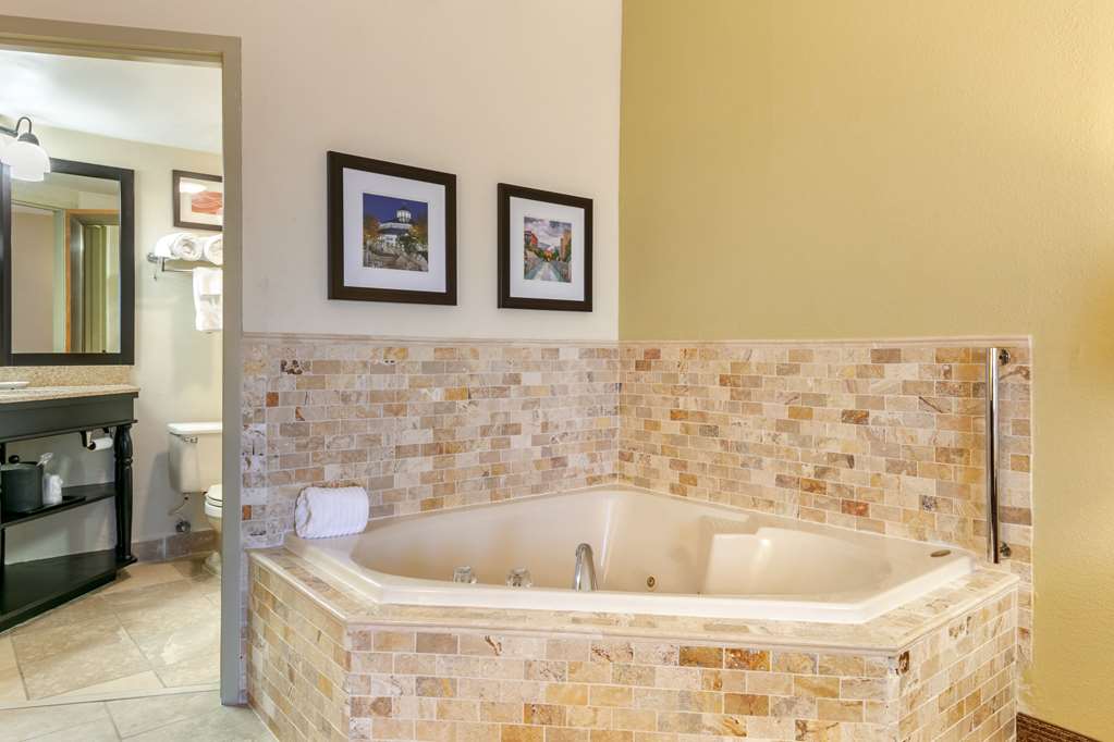 Comfort Inn Chattanooga Downtown Southside - photo 60