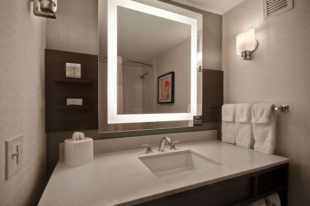 Hilton Garden Inn Detroit Metro Airport - photo 13