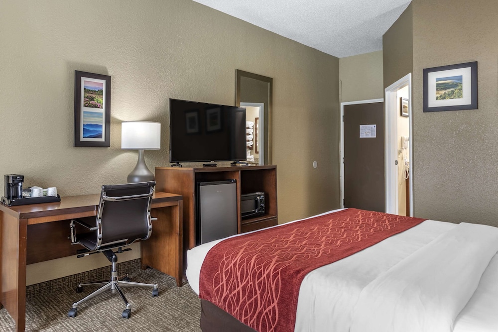 Comfort Inn Kingsport Southeast - photo 10