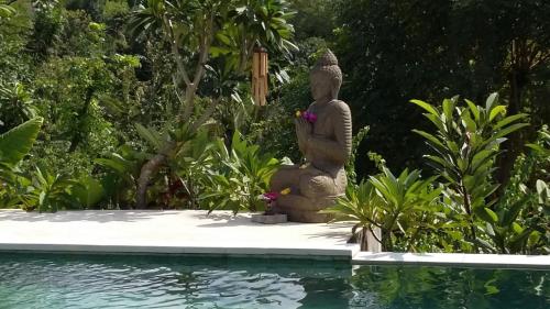 Lovina Paradise — Lovina — photo 3