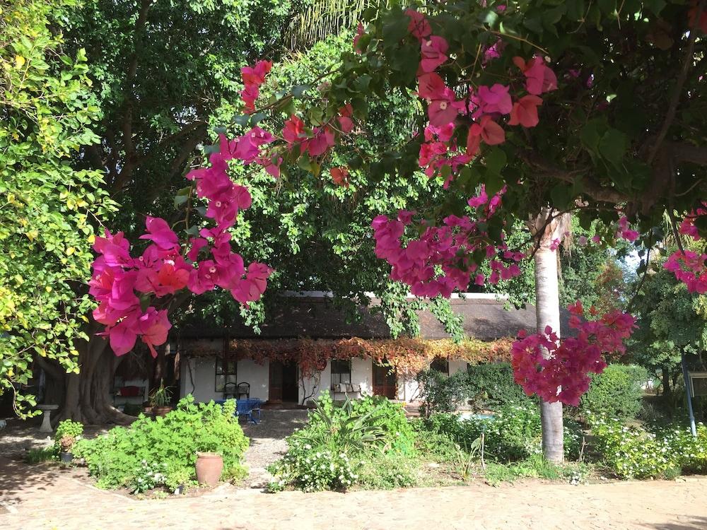Saint Du Barrys in Clanwilliam, South Africa