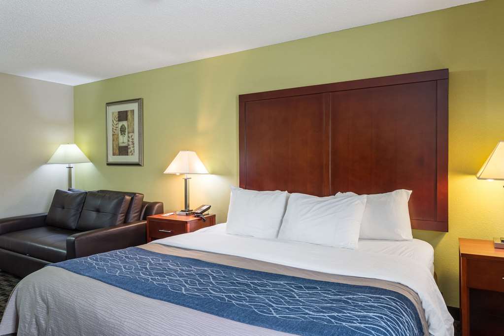 Comfort Inn Decatur Priceville - photo 18