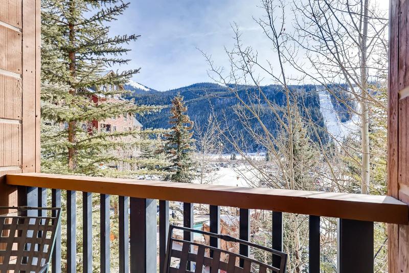 The Springs Condos by Keystone Resort - photo 65