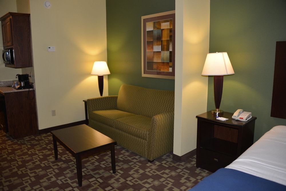 Holiday Inn Express Hotel & Suites Dumas by IHG - photo 8