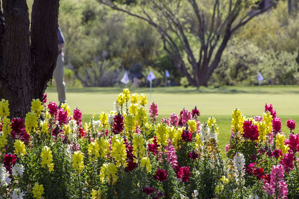 Ventana Canyon Club and Lodge - photo 45
