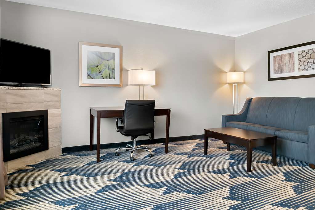 Best Western Plus Flint Airport Inn & Suites - photo 26
