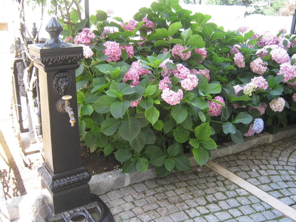 Kontinental in Kiten, Bulgaria