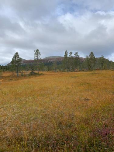 Koselig hytte Trysilfjellet ski in og ski out 4 soverom 2 bad badstue fiber bredbånd og Elbillader in Innbygda, Norway