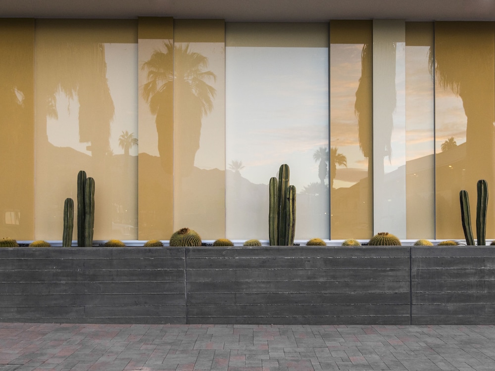 Kimpton Rowan Palm Springs Hotel by IHG - photo 165