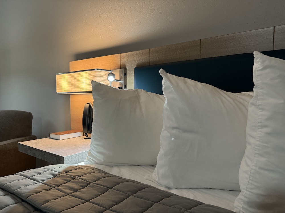 Park Inn by Radisson Maryville - photo 16