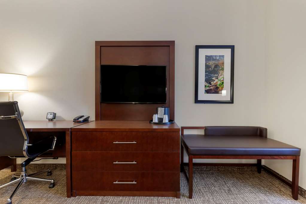Comfort Suites Piedmont Greenville South - photo 11