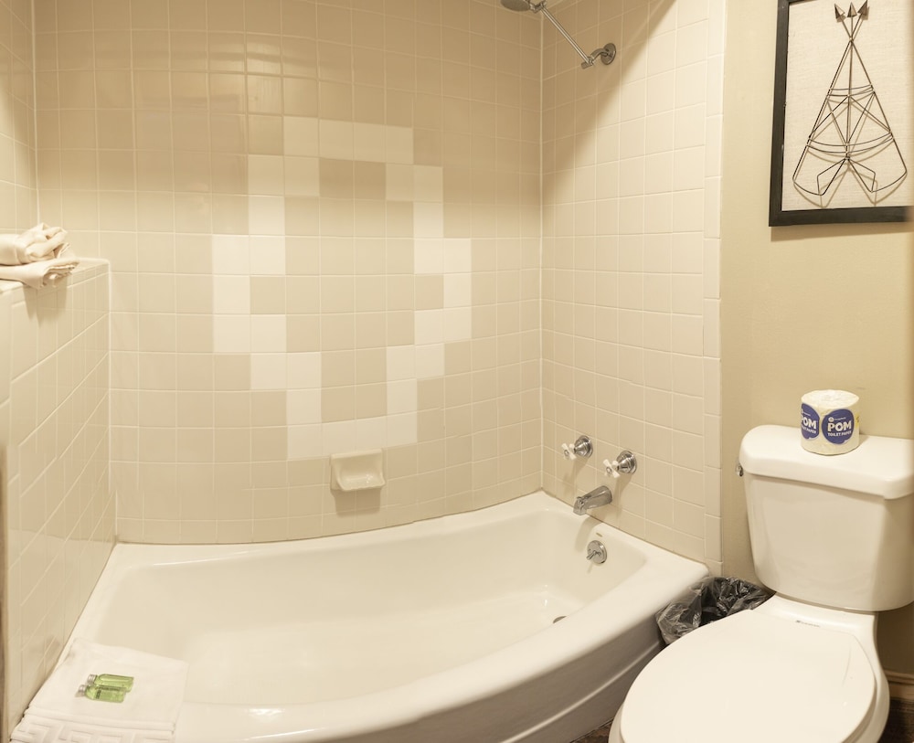 Arrowhead Mountain Lodge - photo 19