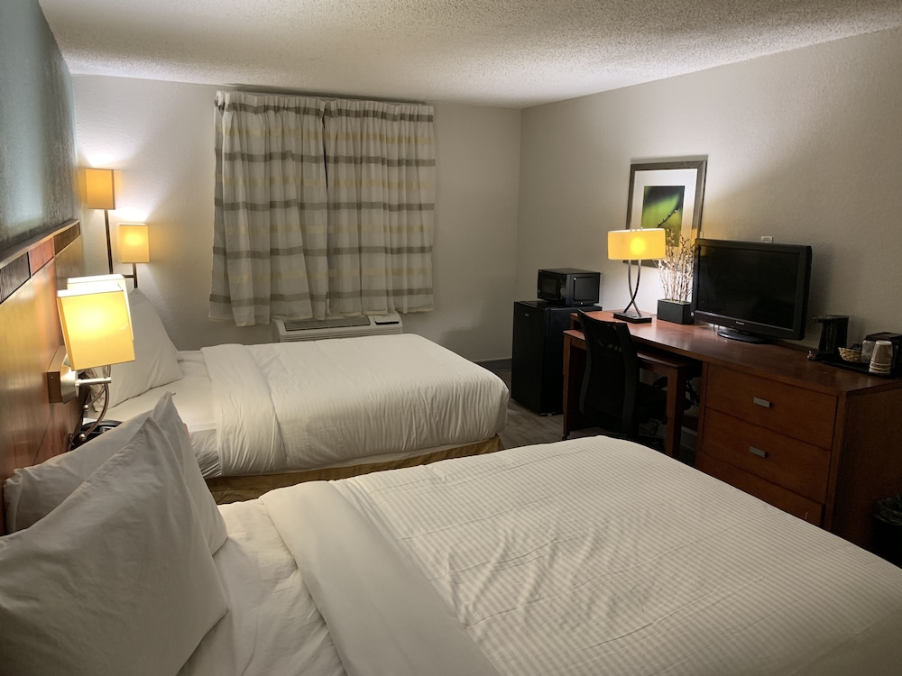 The Hotel Orange - photo 9