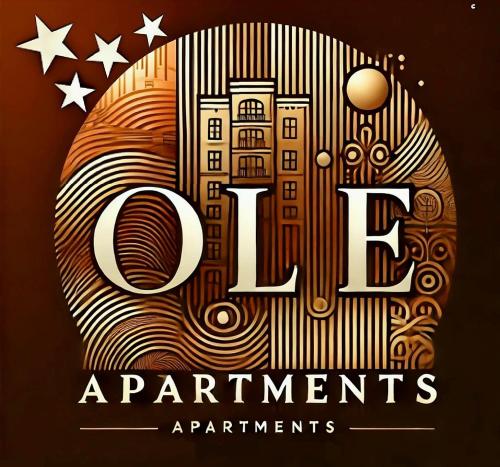Ole Apartment Premium accommodation for an unforgettable experience — 4-Star Luxury Hotel in Timisoara, Romania