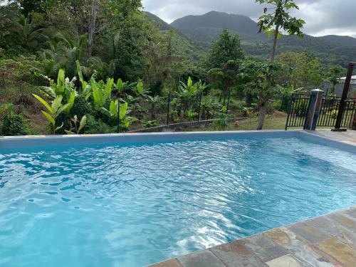 Location villa et piscine privé — 4-Star Luxury Hotel in Capesterre-Belle-Eau, Guadeloupe