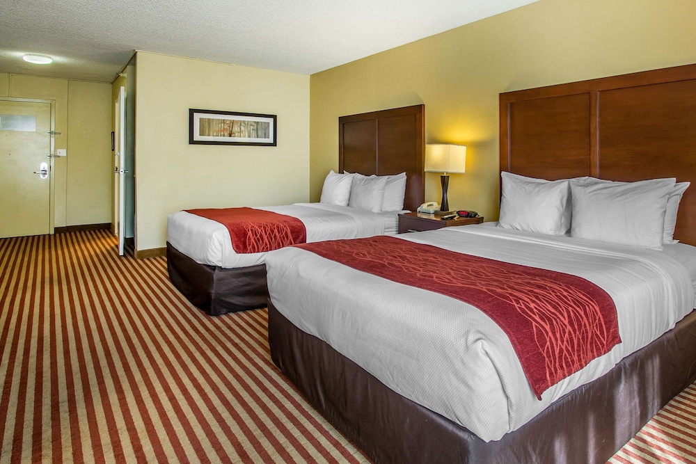 The Adventure Hotel by the parks - photo 46