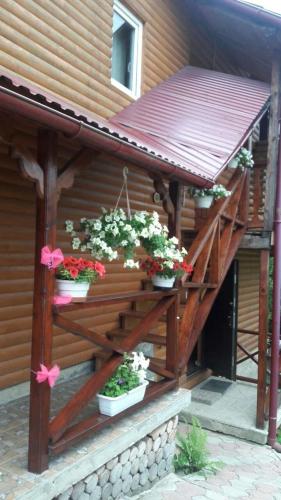 Pid Playem in Volovets, Ukraine