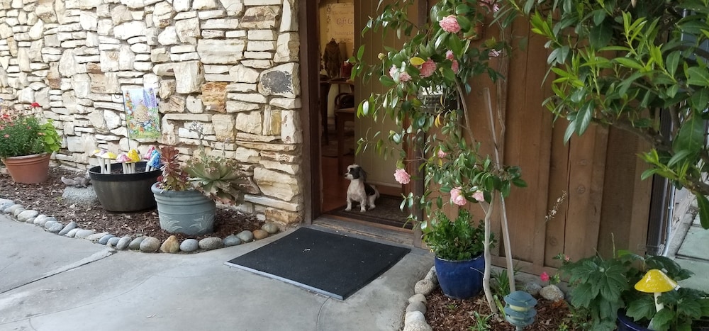 Carmel Valley Lodge and Resort - photo 3