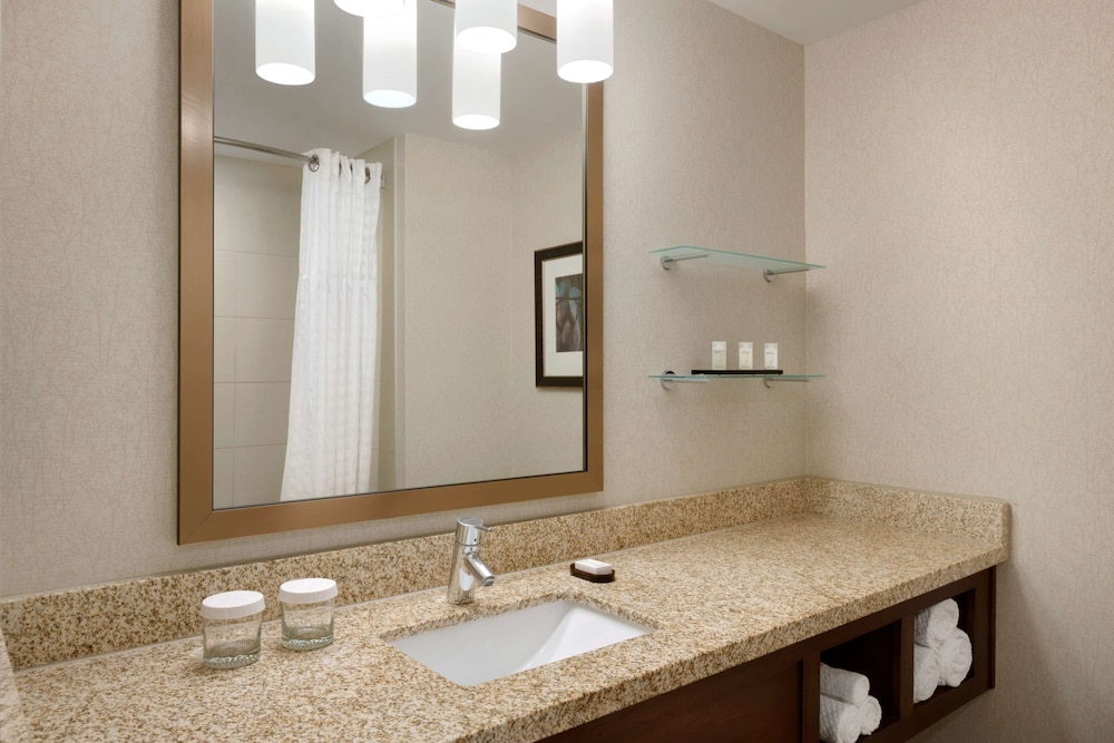 Embassy Suites by Hilton Denver Downtown Convention Center - photo 20