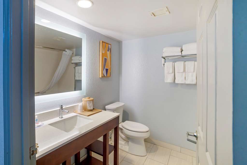 Comfort Inn Asheville Airport - photo 7