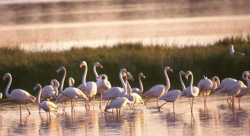 Hotel Umberto in Rosolina, Italy