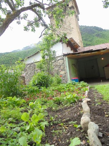 Jimsher Naveriani Guesthouse