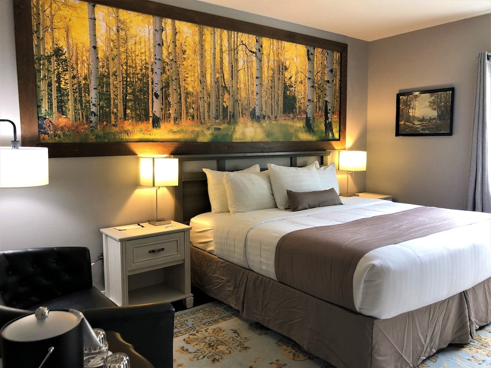 Blue Elk Inn - photo 22