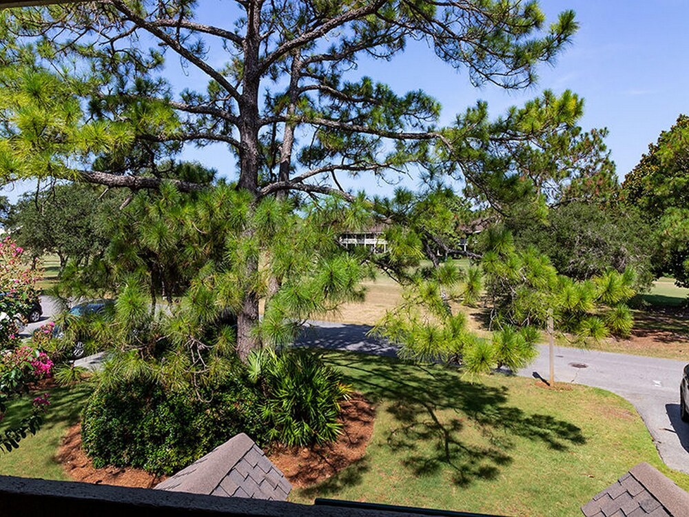 Golf Course By Seascape Resort - photo 164