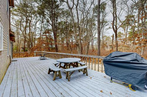Serene Cape Escape — Wellfleet — photo 2