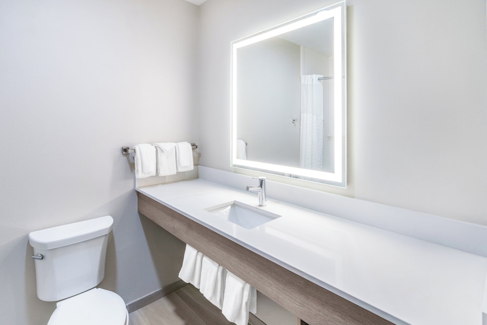 Holiday Inn Express Hotel & Suites Denver North Thornton by IHG - photo 25