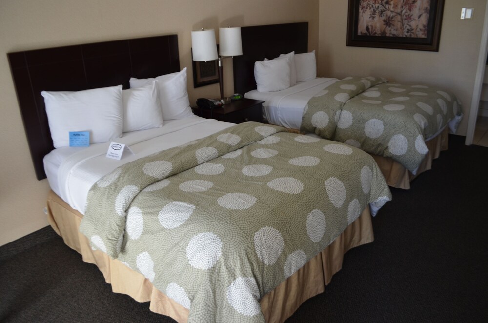 Chapel Hill University Inn - photo 7