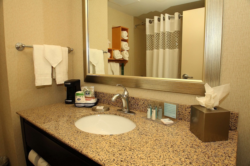 Hampton Inn Texarkana Arkansas - photo 19