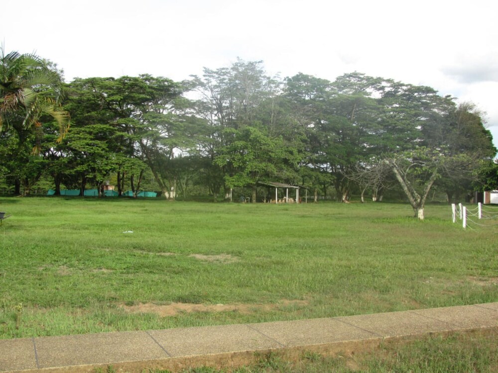 Centro Vacacional y de Eventos Araguaney — Acacias — photo 4