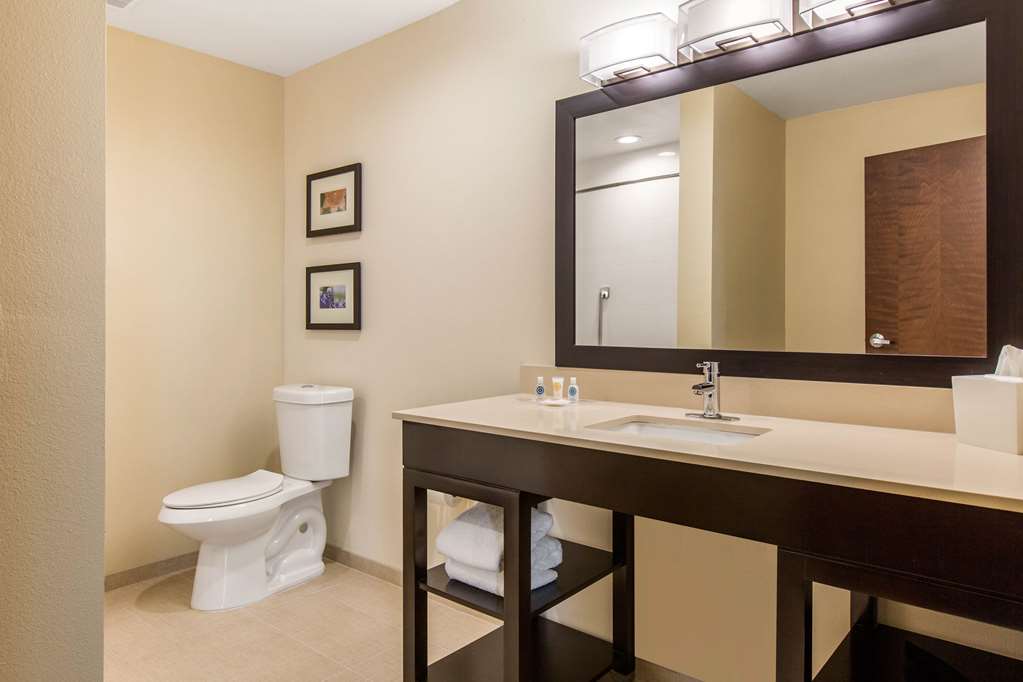 Comfort Suites South Austin - photo 25