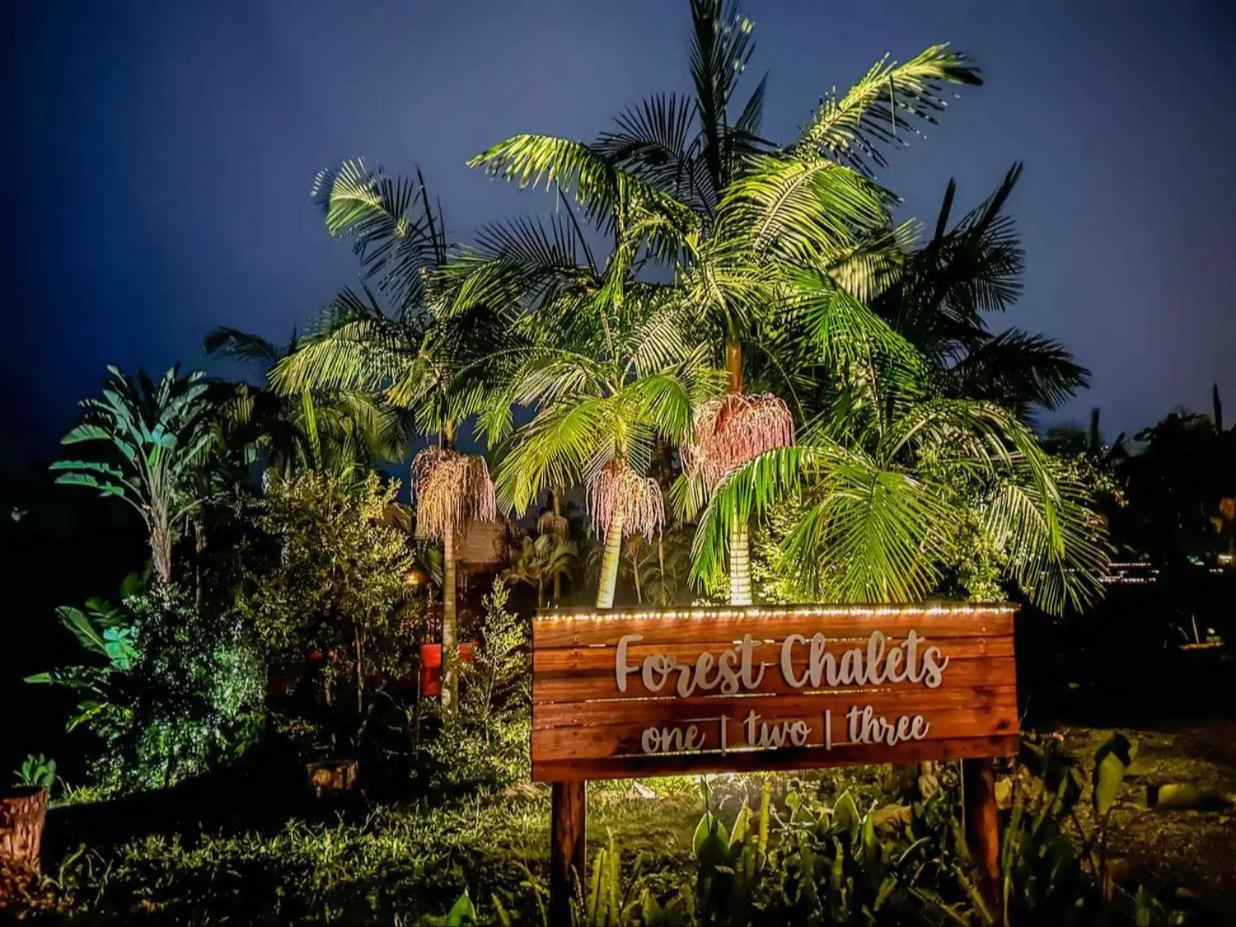 Adventurer’s Escape HQ in Plettenberg Bay, South Africa