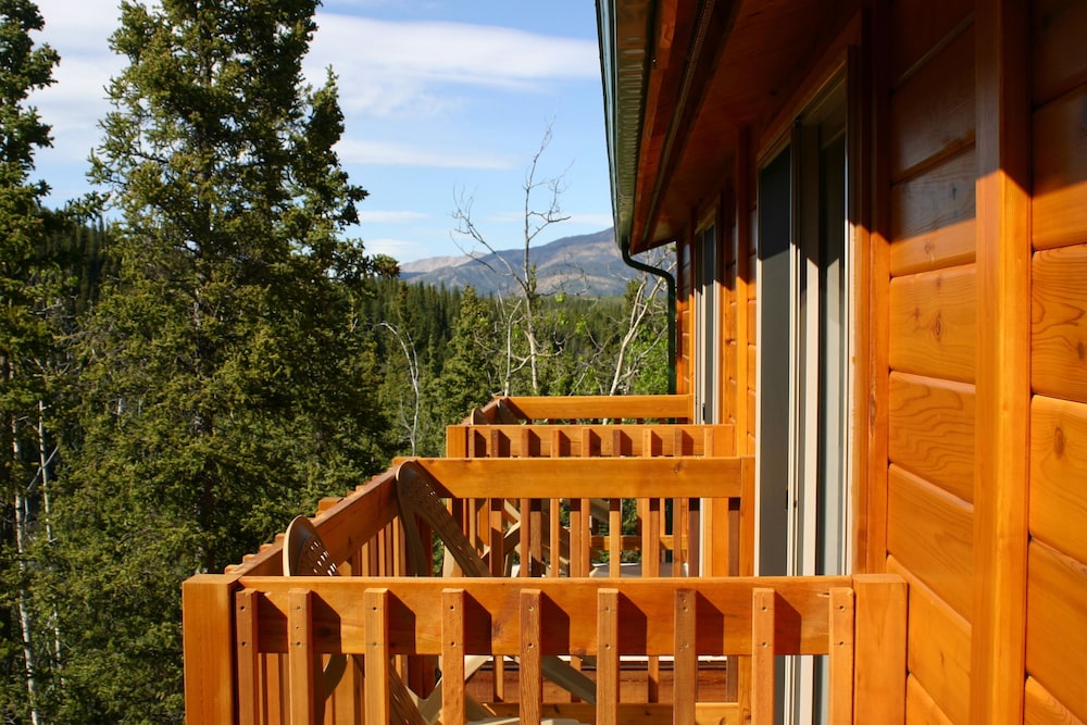 Denali Grizzly Bear Resort - photo 29
