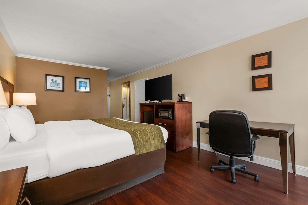 Comfort Inn Oceanside Deerfield Beach - photo 26
