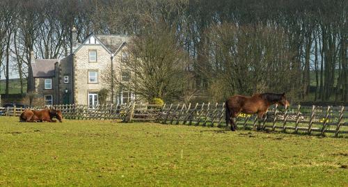 Badgers Wood — 4-Star Luxury Hotel in Buxton, United Kingdom