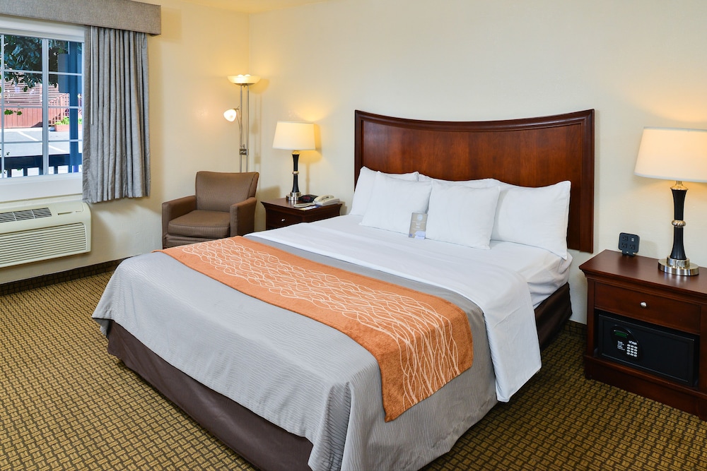 Blu Pacific Hotel - photo 6