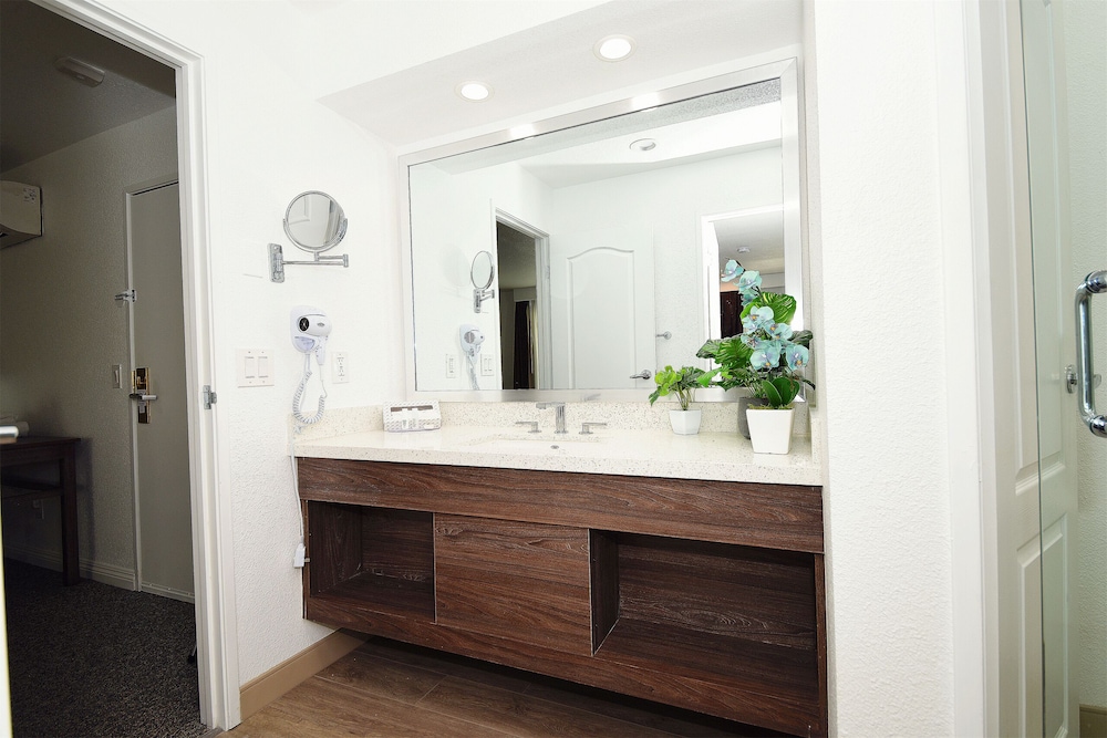 Serene Vegas Boutique Hotel Las Vegas - photo 35