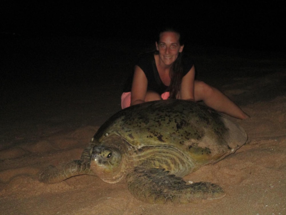 All view resort in Tangalle, Sri Lanka